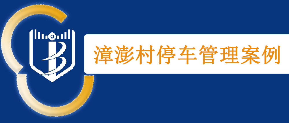 漳澎村停車管理案例
